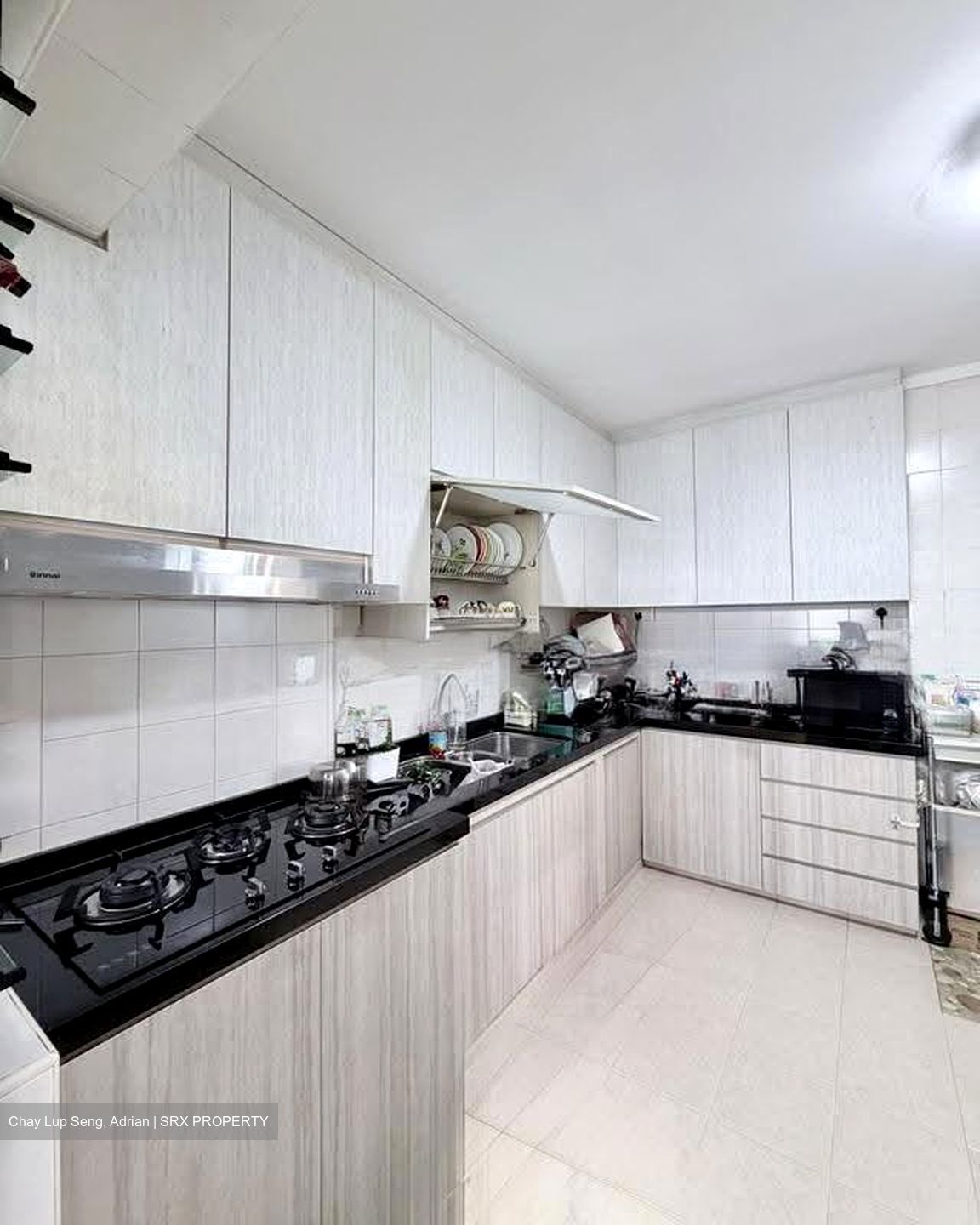 Blk 542 Panshan Grove (Bukit Panjang), HDB Executive #627491181